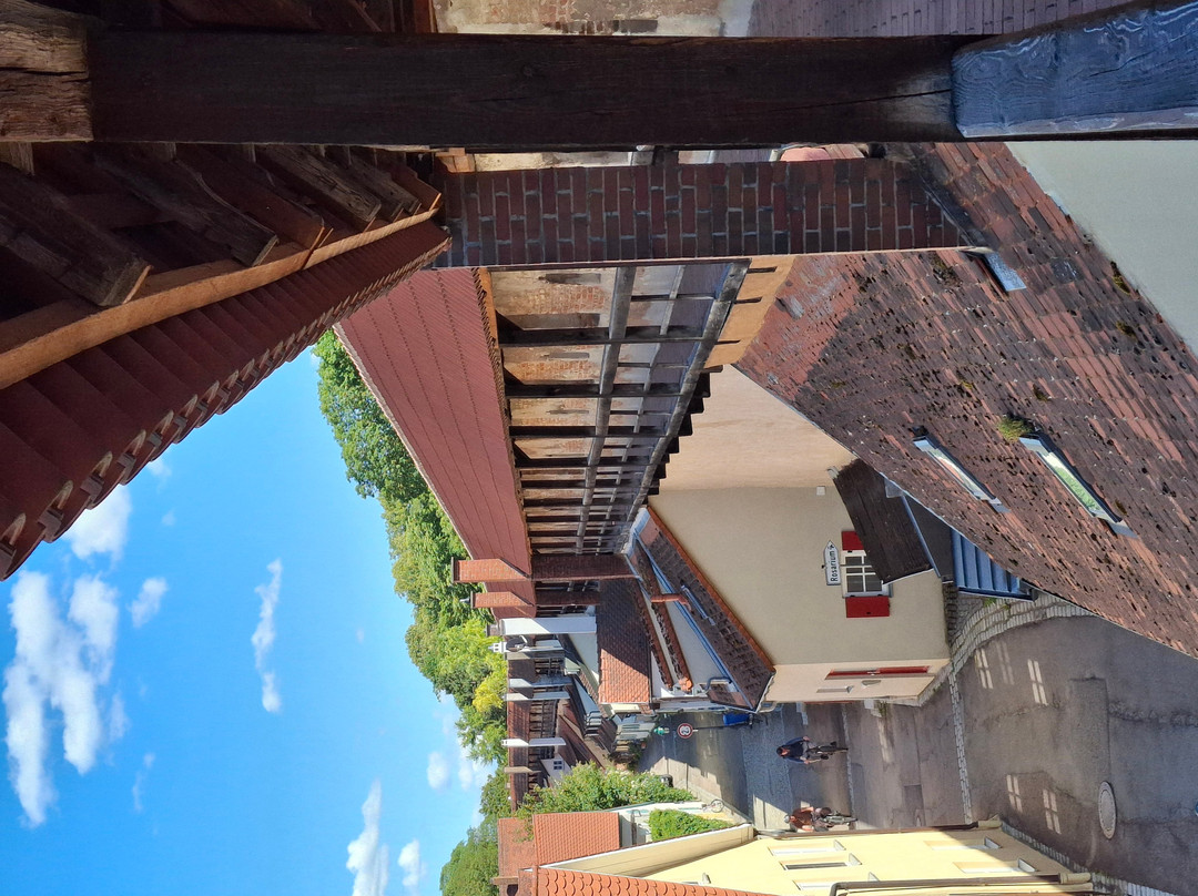 Historische Stadtmauer-讷德林根必去景点