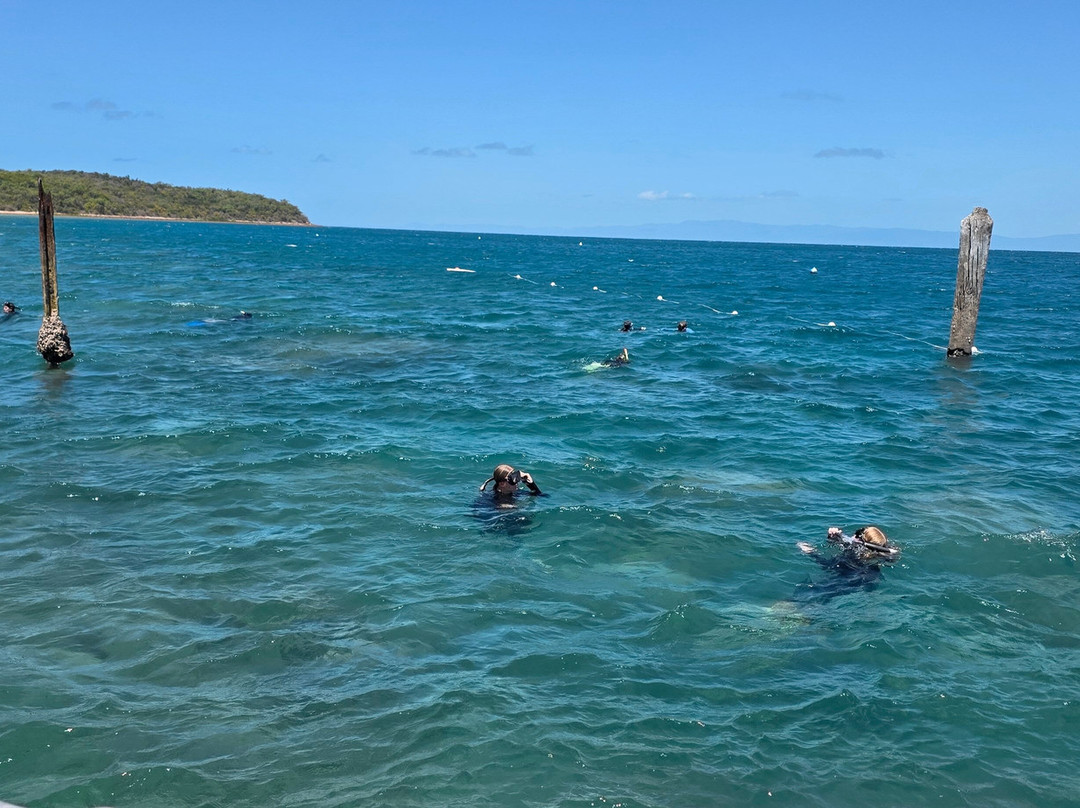 SeaLink Queensland - Magnetic Island Ferry Services-汤斯维尔必去景点