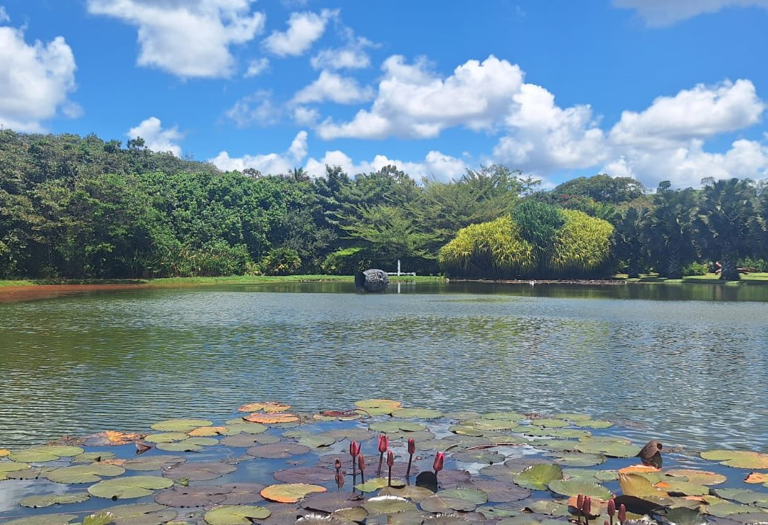 Usina de Arte