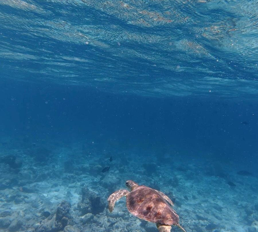 Ocean Mantra Retreats-拉斯胡必去景点