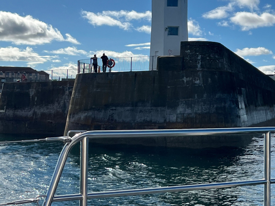 Serenity Farne Island Boat Tours-Seahouses必去景点