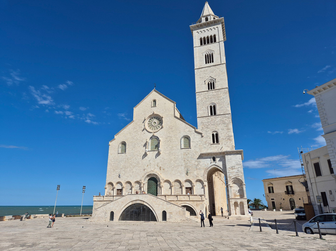 Cattedrale di Trani-特拉尼必去景点