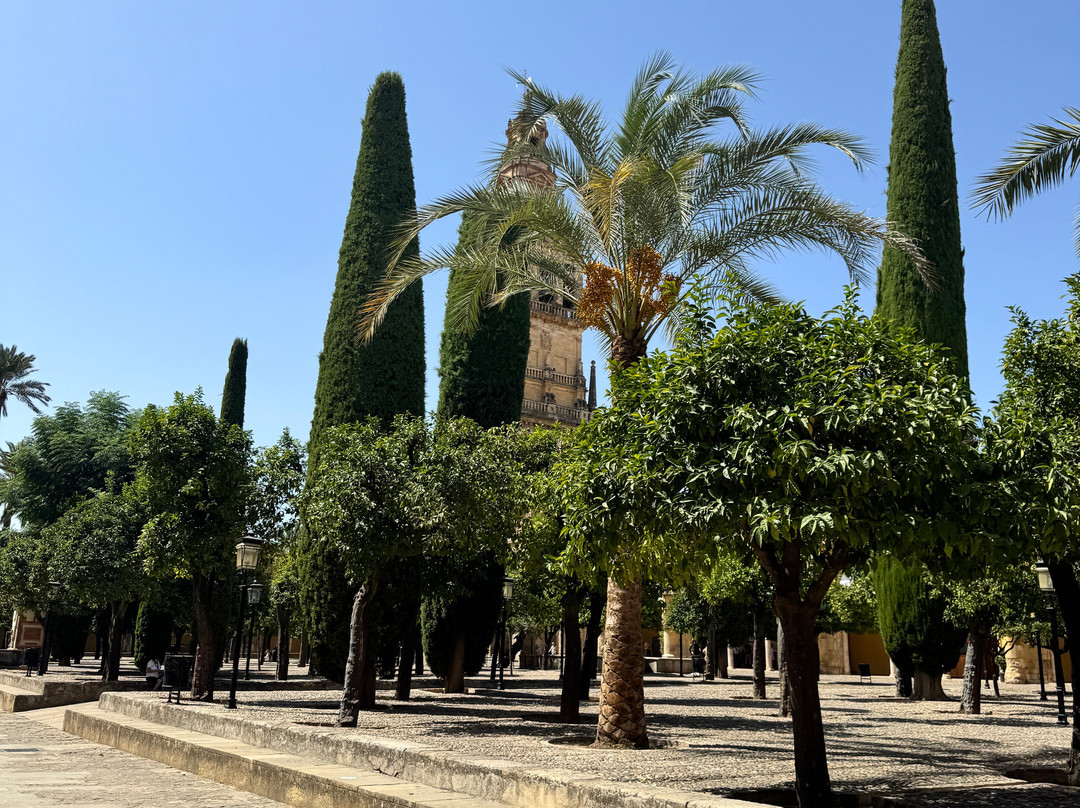 Patio de los Naranjos-科尔多瓦必去景点