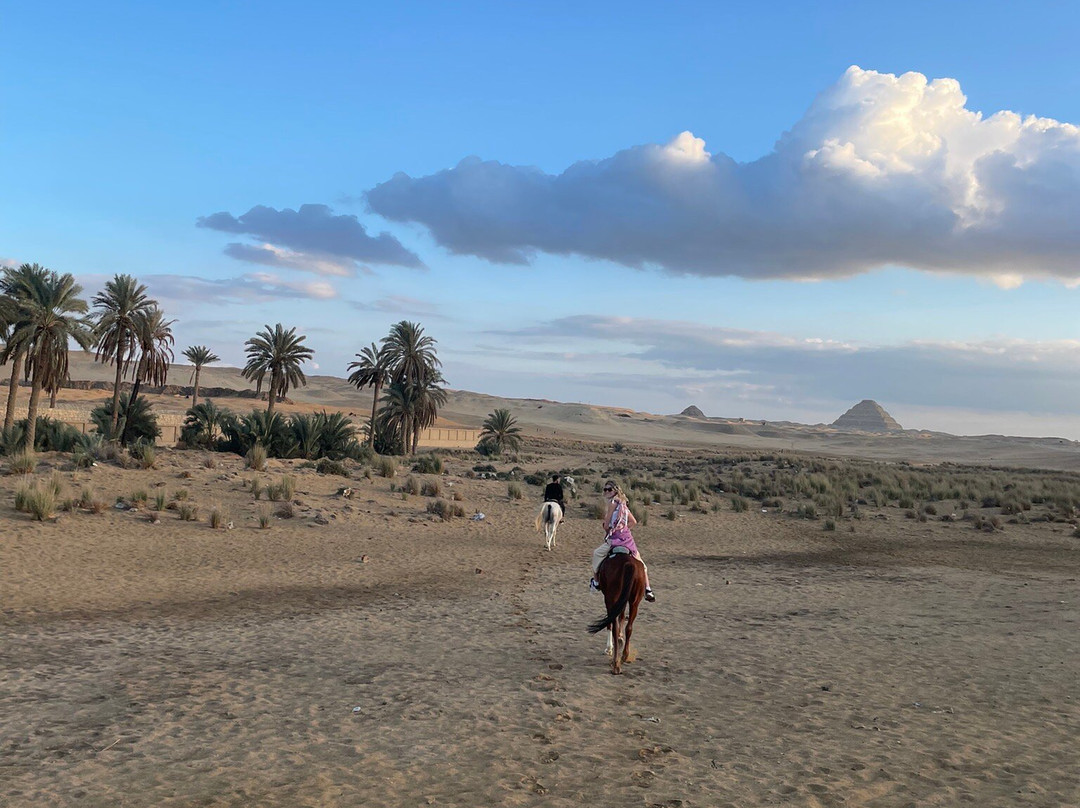 Cairo Horse Riding School-吉萨必去景点
