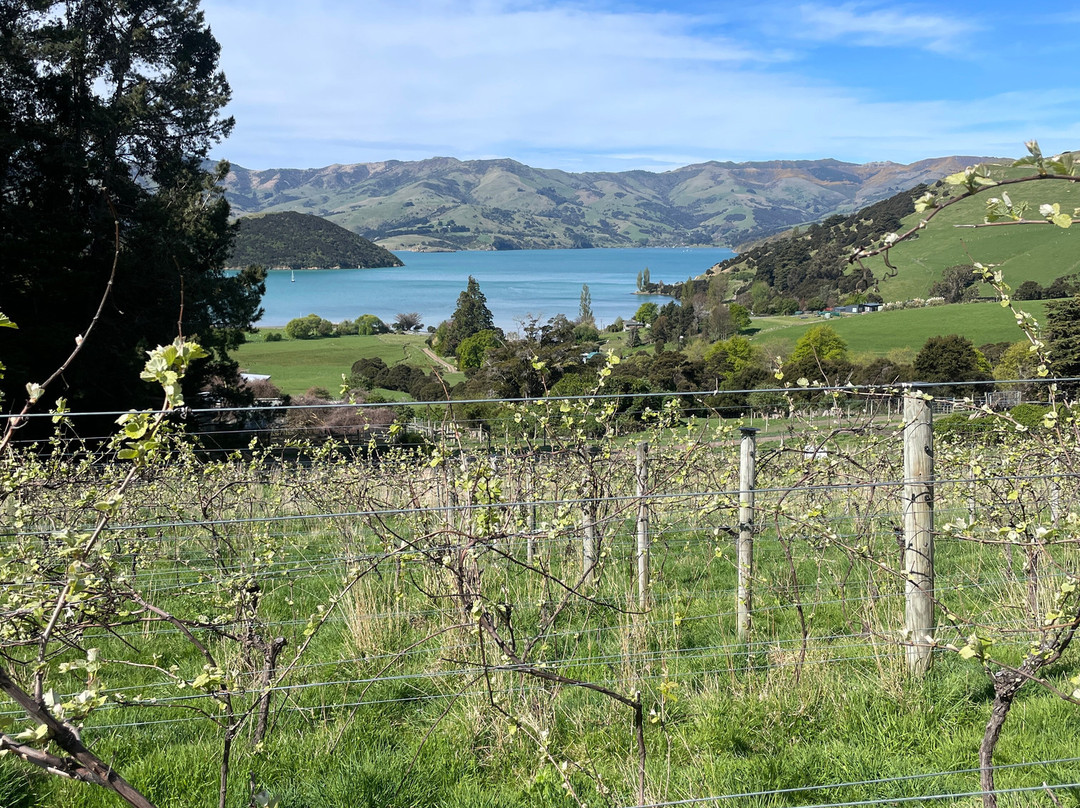 French Peak Vineyard-阿卡罗阿必去景点