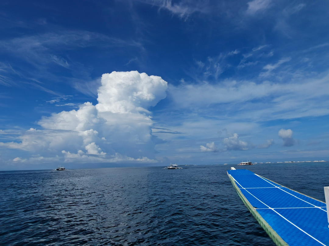 Tropical Divers Dive Center-达瑙市必去景点