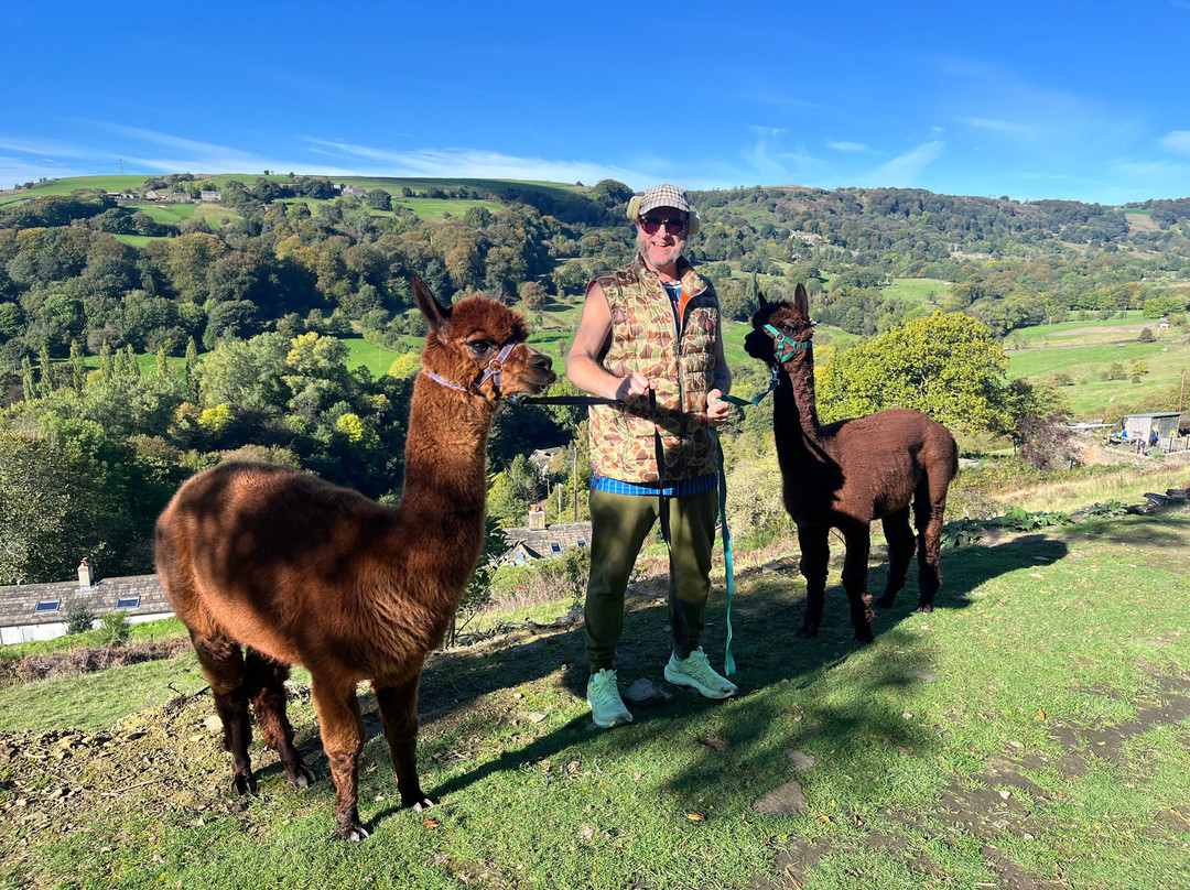 Heatherwood Alpacas