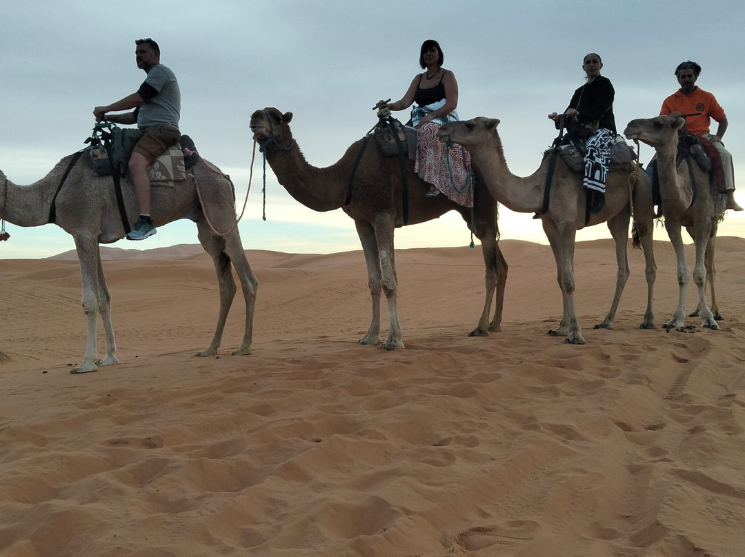 Travel Trekking Morocco-Saint-Sulpice-sur-Leze必去景点