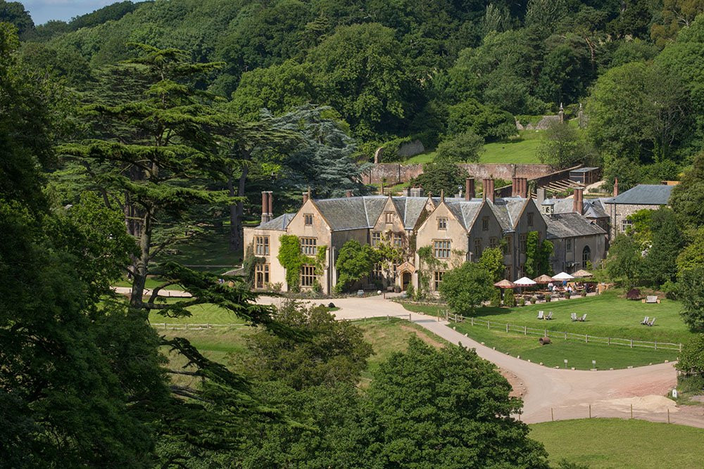 Buckerell酒店住宿-THE PIG - at Combe