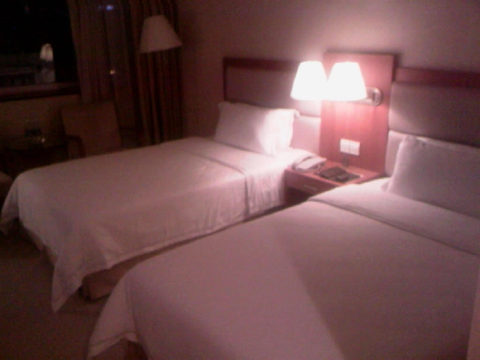 金銮富众酒店-客卧