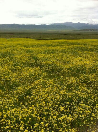 四川千佛山国家森林公园