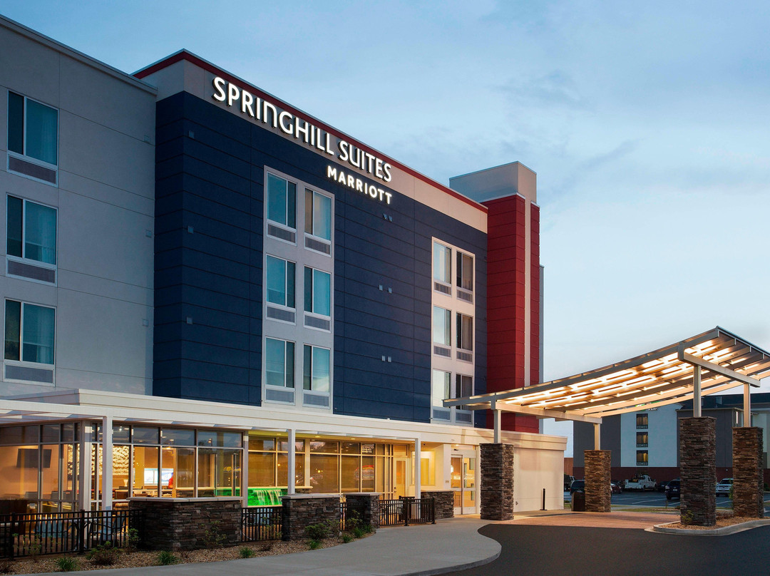 SPRINGHILL SUITES MURRAY主图
