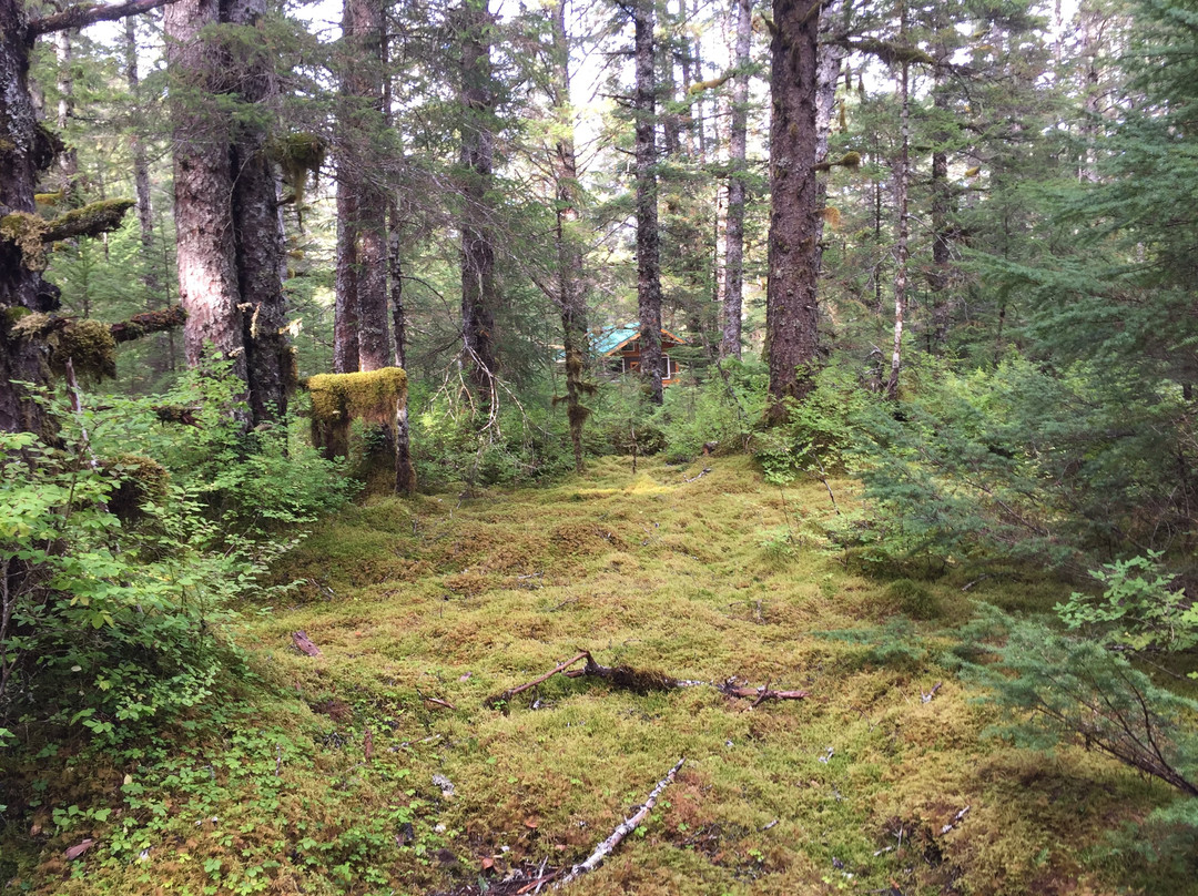 Johnstone Adventure Lodge