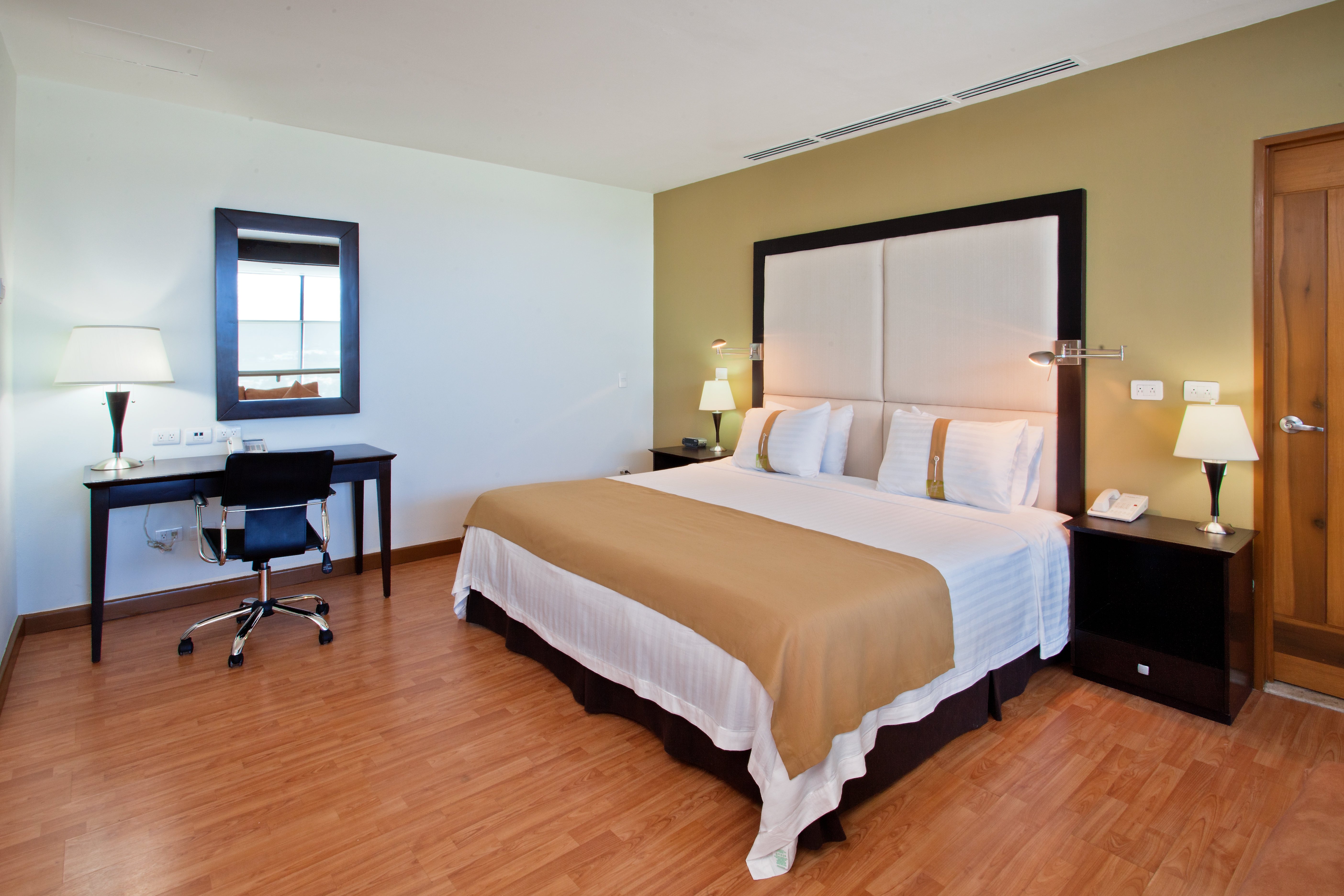 Holiday Inn Irapuato, an IHG hotel-官方