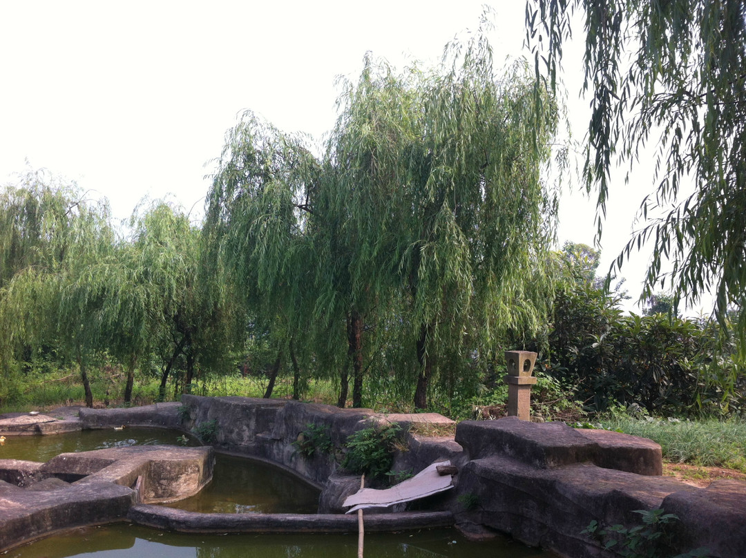 自贡三多寨景点图片