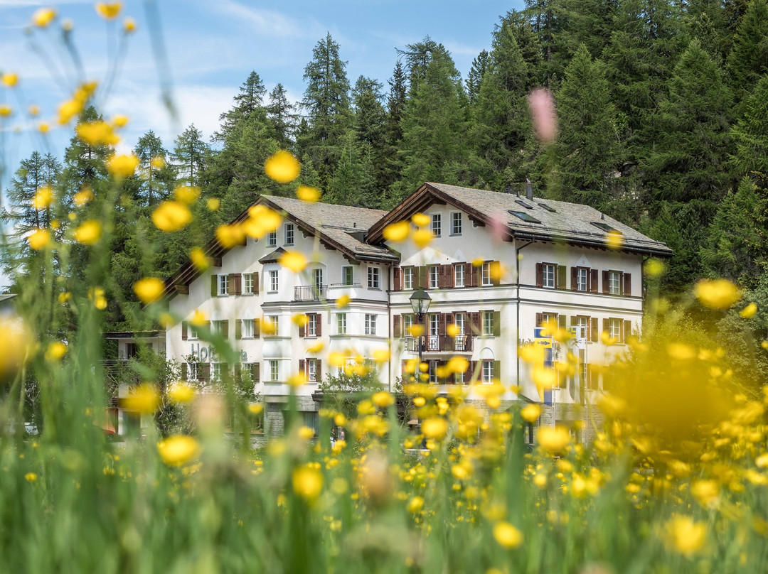 Sils im Engadin酒店住宿-Hotel Maria