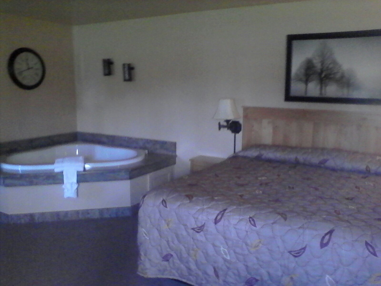 Executive Inn-官方