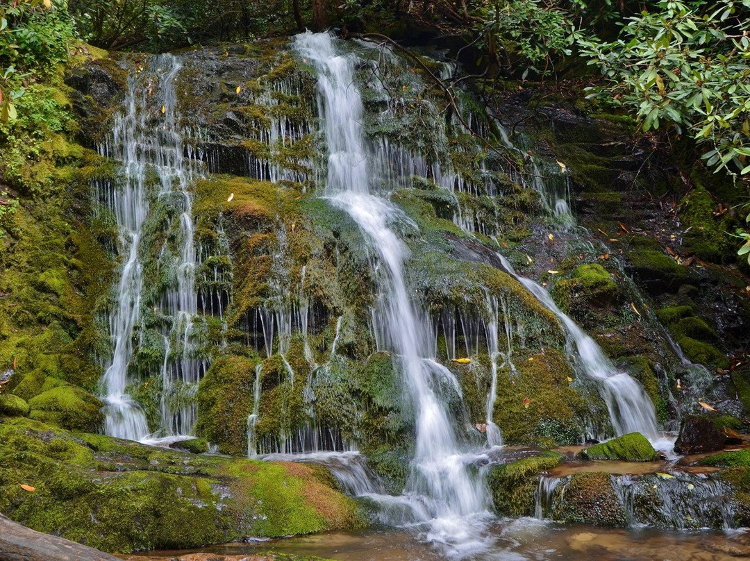 Mingo Falls景点图片