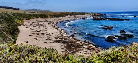 Seal Beach Scenic Overlook-大苏尔必去景点