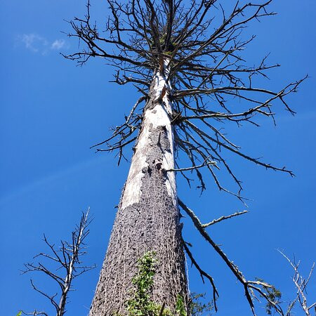 Cedar Wetlands Preserve-Rockaway Beach必去景点