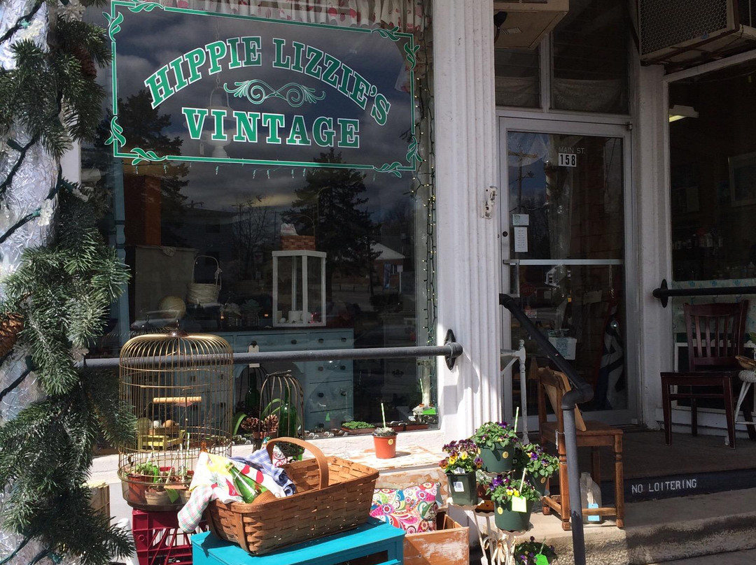 Hippie Lizzie's Vintage景点图片