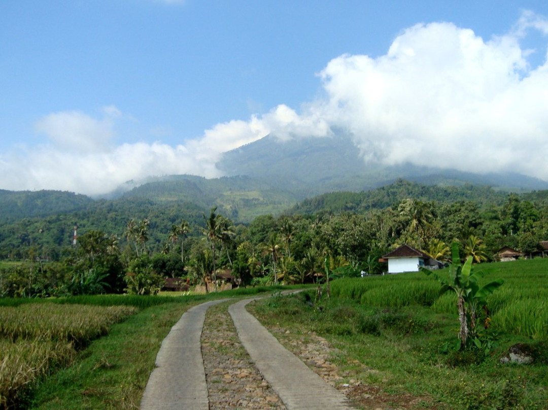 Desa Wisata Hargomulyo景点图片