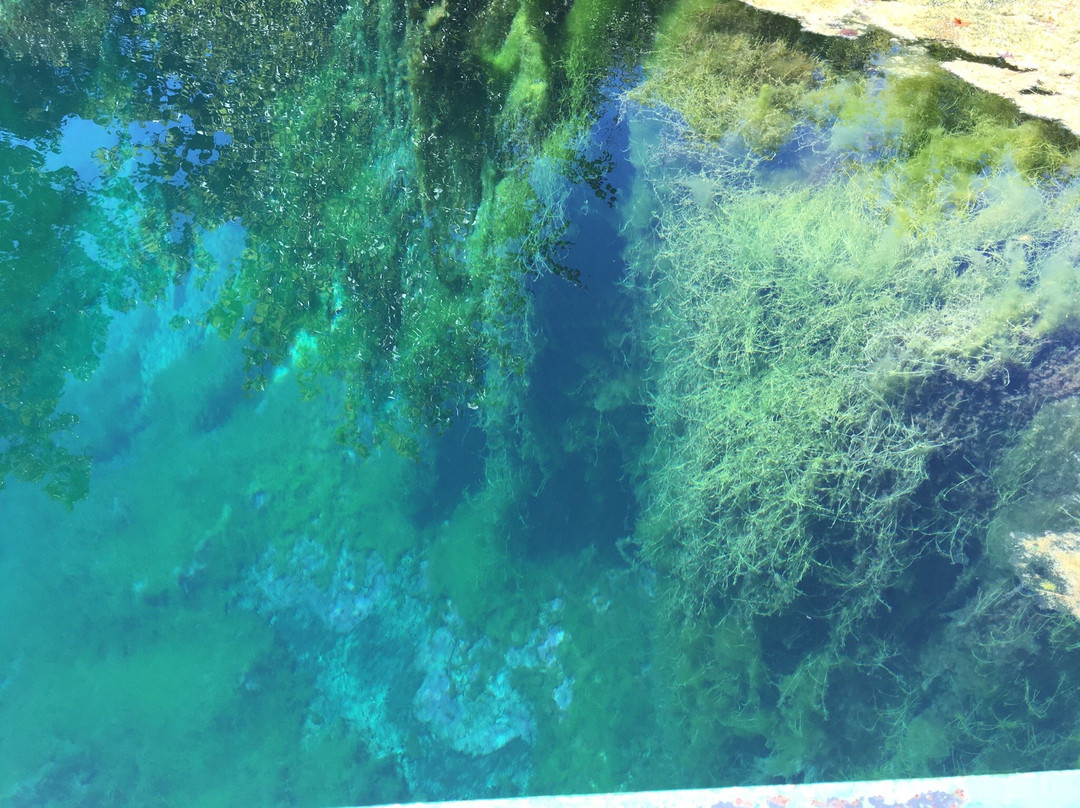 Flat Rock旅游景点-Castalia State Fish Hatchery