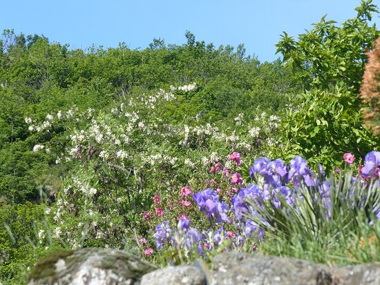 Chateau de la Rode主图