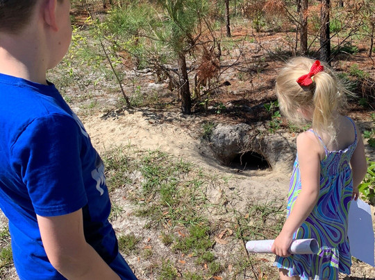 Uga Mary Kahrs Warnell Forest Education Center-Guyton必去景点