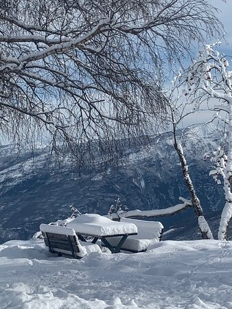 Parco Naturale del Monte Baldo景点图片