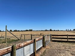 Frances Strawberries-Naracoorte必去景点