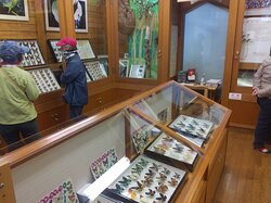 Katakuri to Omurasaki no Forest-小川町必去景点