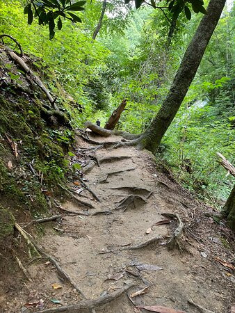 Twin Falls/Eastatoe Falls-Sunset必去景点