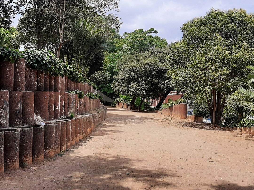 Parc de Can Xarau景点图片