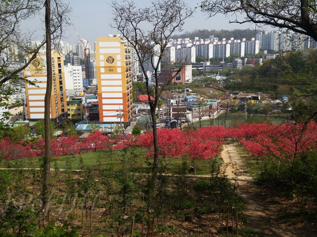 Seongsusan Park-富川市必去景点