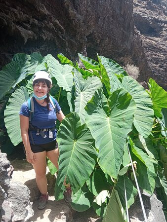 El Cardon NaturExperience-Buenavista del Norte必去景点