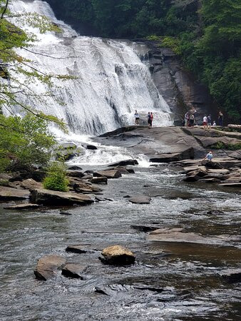 DuPont State Recreational Forest景点图片