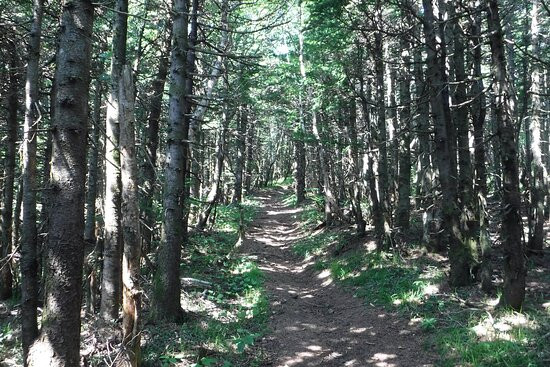 Mt. Pon-利尻富士町必去景点