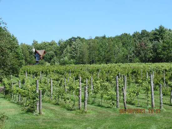Au Vignoble d’Orford-Orford必去景点