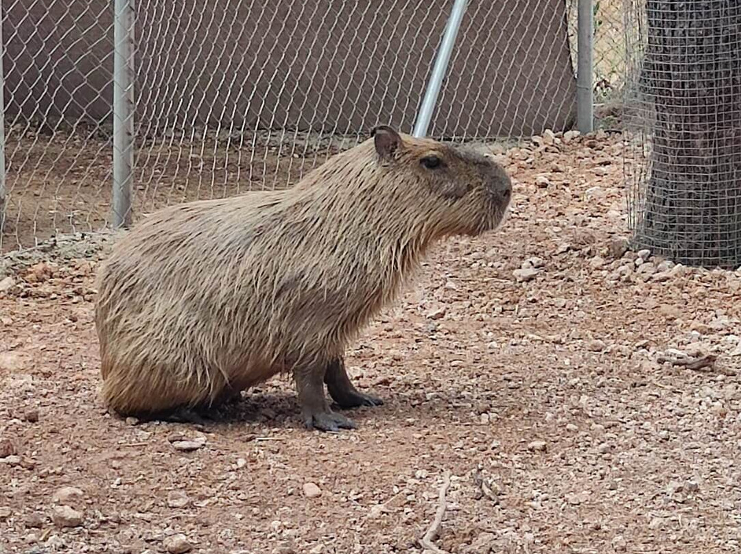 Bioparque La Rocha景点图片