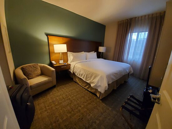 Staybridge Suites Gainesville I-75 by IHG主图