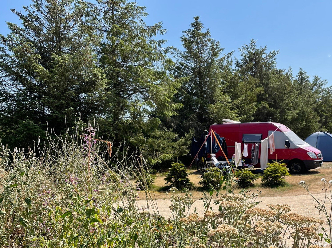 Blokhus Natur Camping