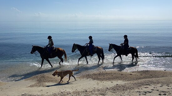 Cuadra San Alberto-Los Barriles必去景点