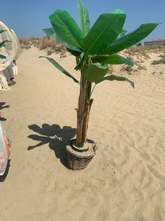 La Tintarelleria景点图片