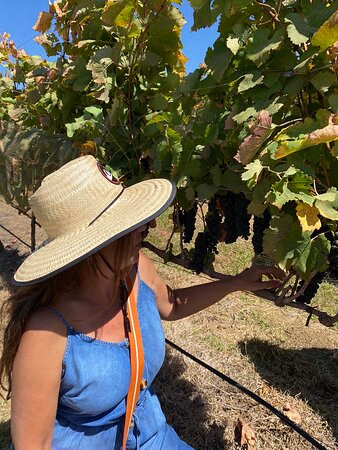 Fazenda Ercoara-Cristalina必去景点