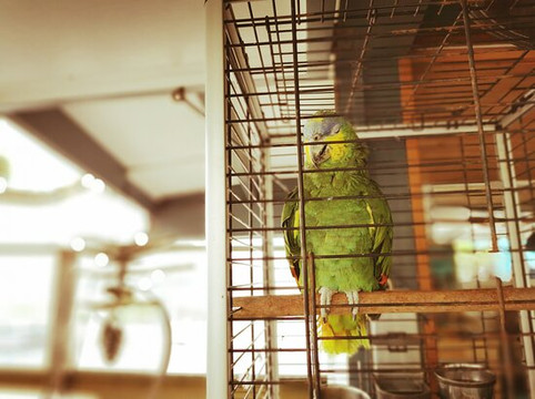 MiniGolf de Pontaillac-鲁瓦扬必去景点