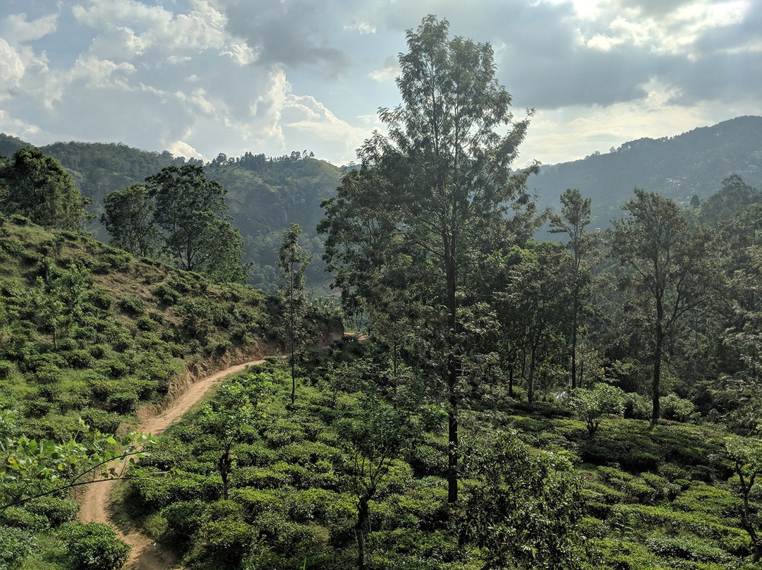 Idyll Ella Hiking-埃勒必去景点