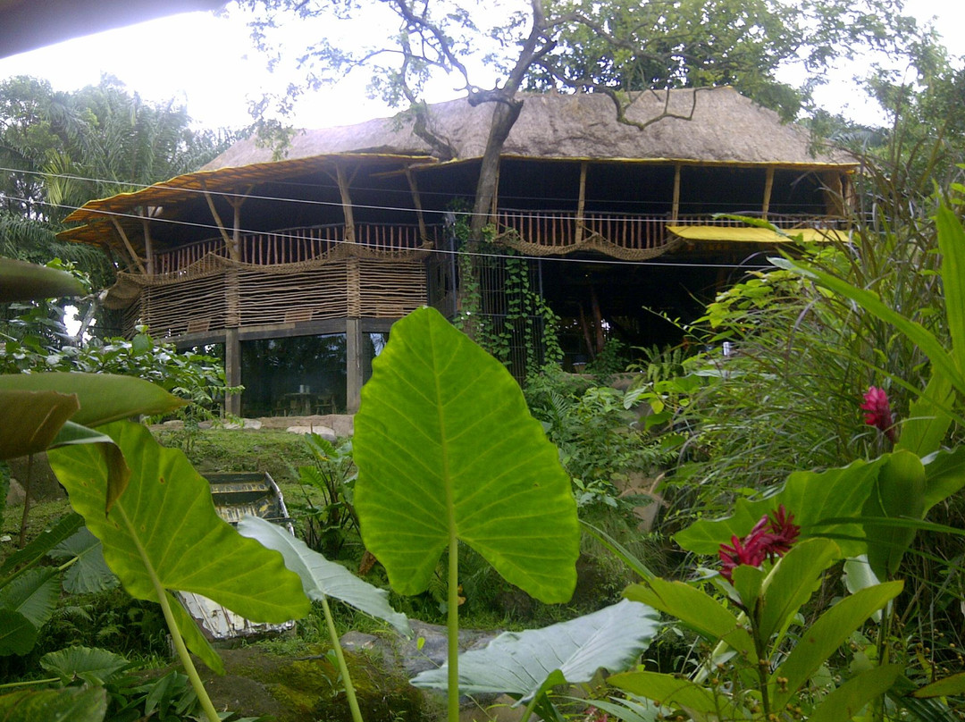 Gede Bali Driver-水明漾必去景点