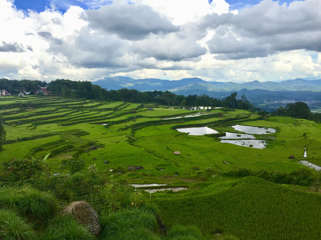 Kappuna旅游攻略图片