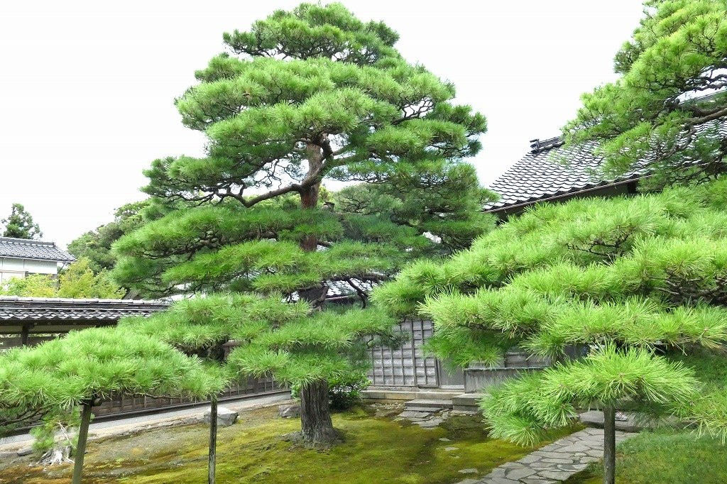 Taira Family Garden景点图片